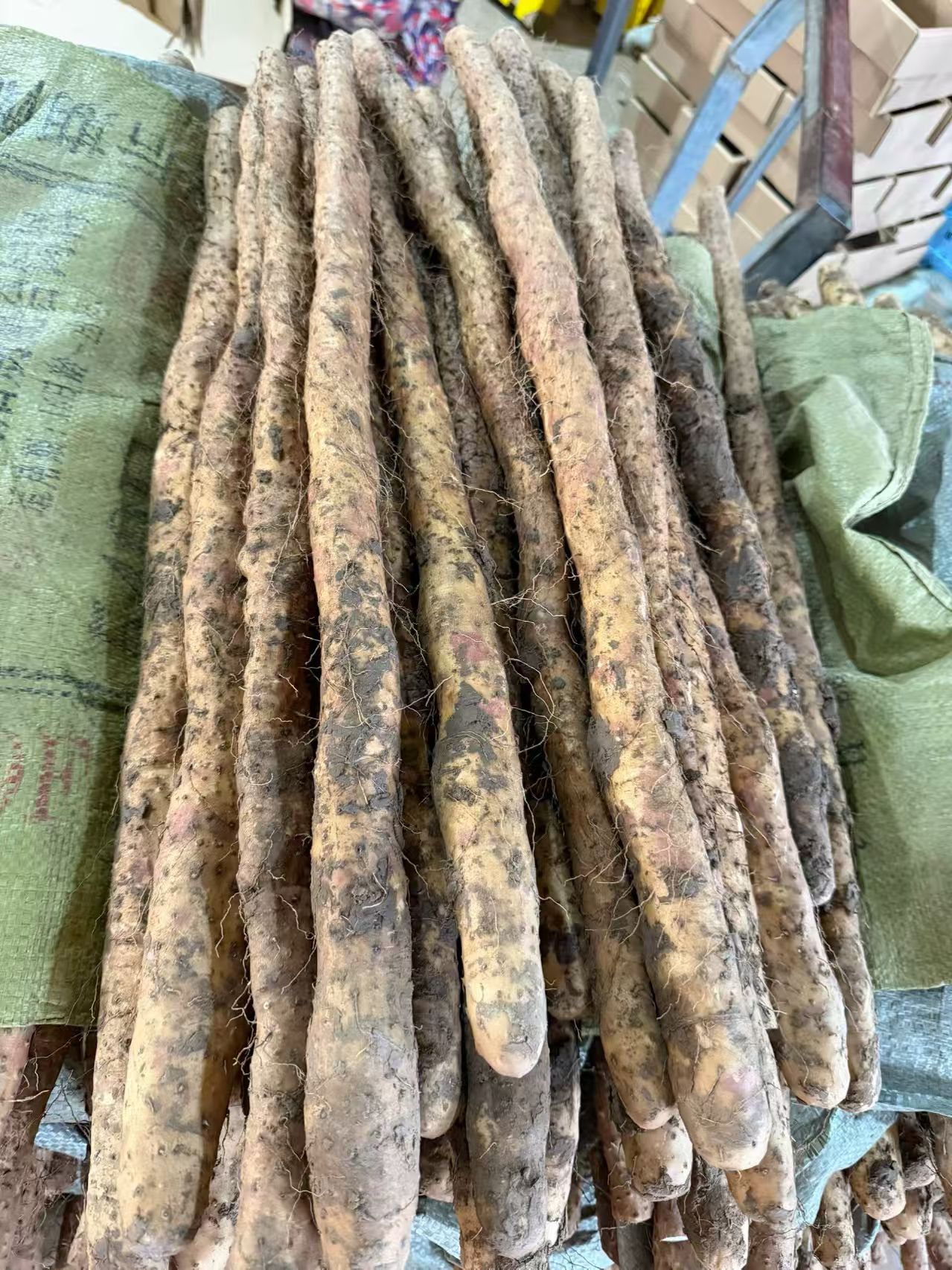 微信图片_20260202230524_82_14